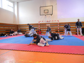 banner banner