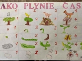 banner banner