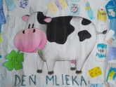 banner banner
