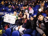 banner banner