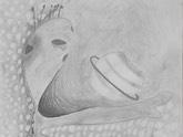 banner banner