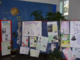 banner banner