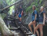 banner banner